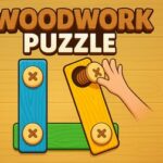 Bolts And Nuts Puzzle