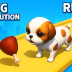 Dog Evolution Run