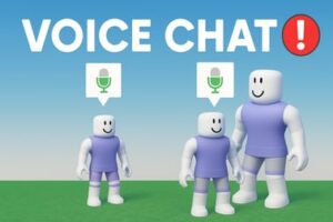 Voice Chat
